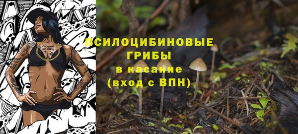 мяу мяу мука Армянск