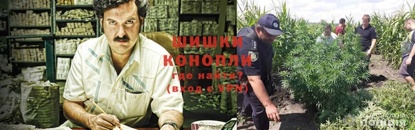 гашиш Аркадак