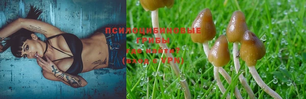 гашик Новодвинск